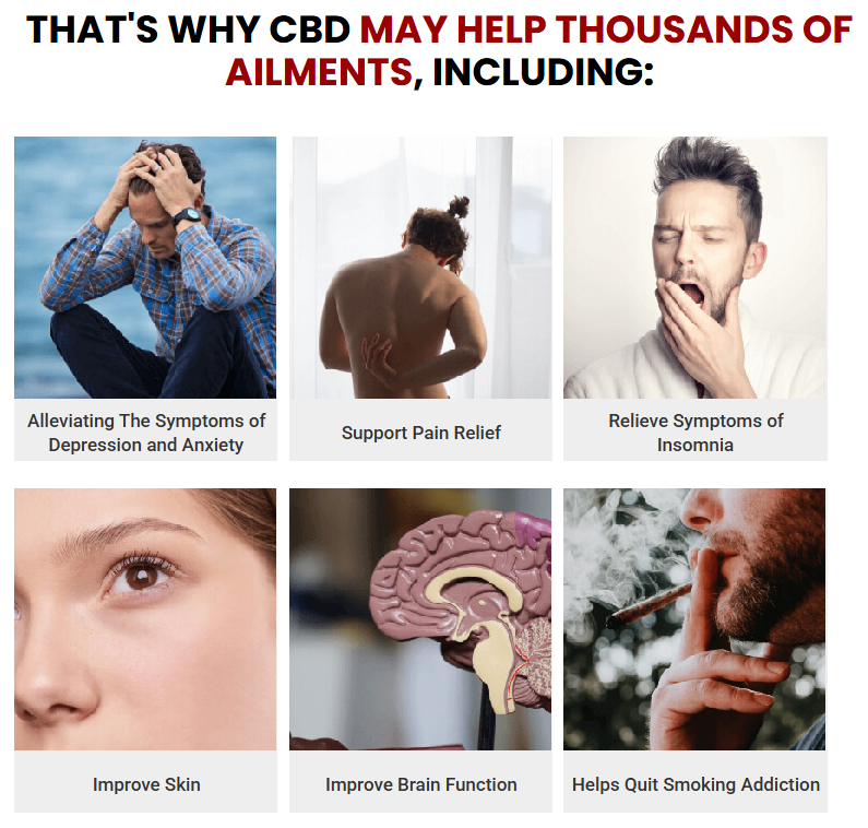 TruFull CBD Gummies Reviews – Is This Full Spectrum Gummy Really Work?