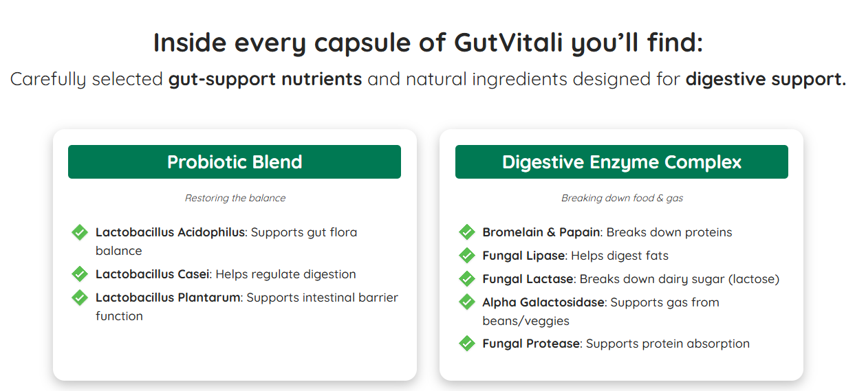 GutVitali Ingredients