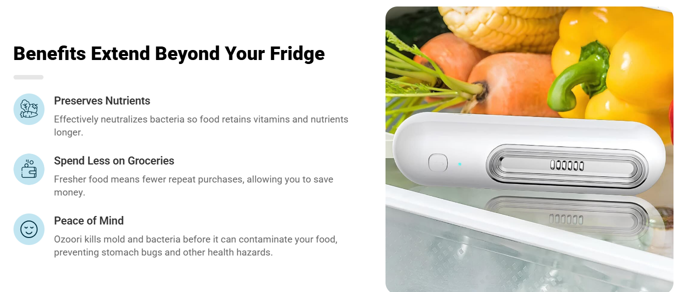 Ozoori Fridge Deodoriser 2