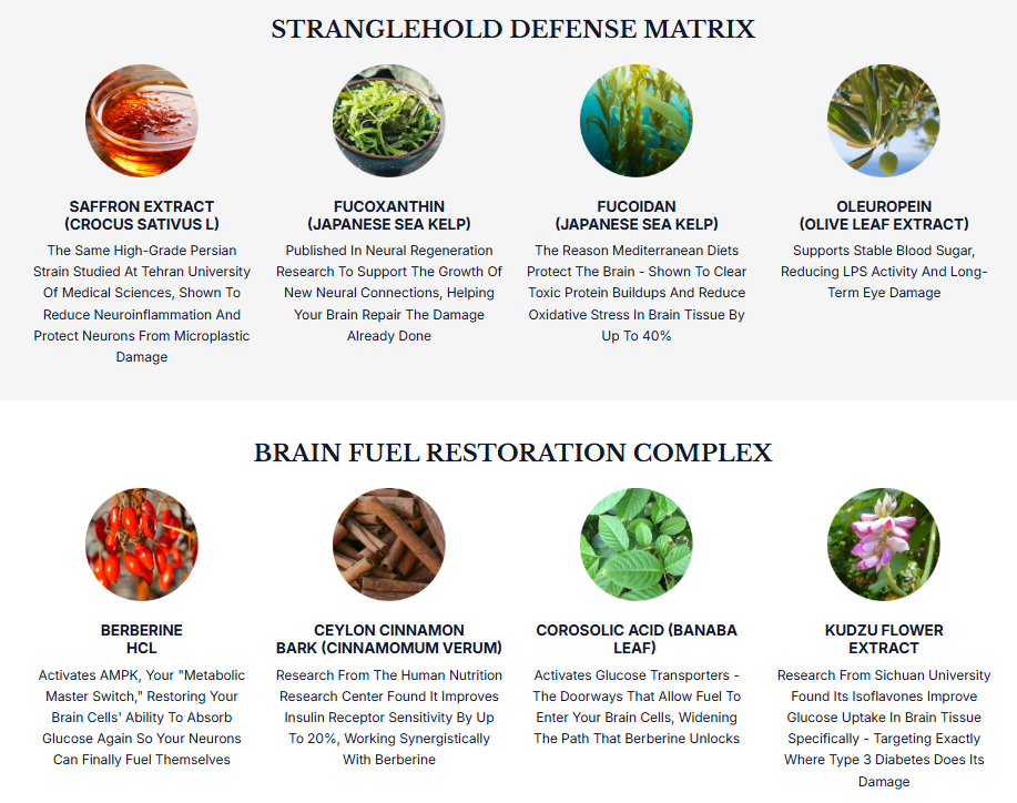 Phytomem One Ingredients