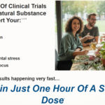 Primal Force Myco Max Reviews – Nourishing Energy for Brain & Body!
